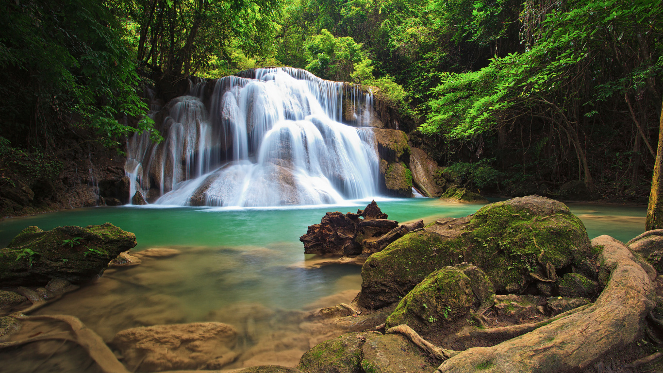 Water Falls in The Middle of The Forest. Wallpaper in 1366x768 Resolution