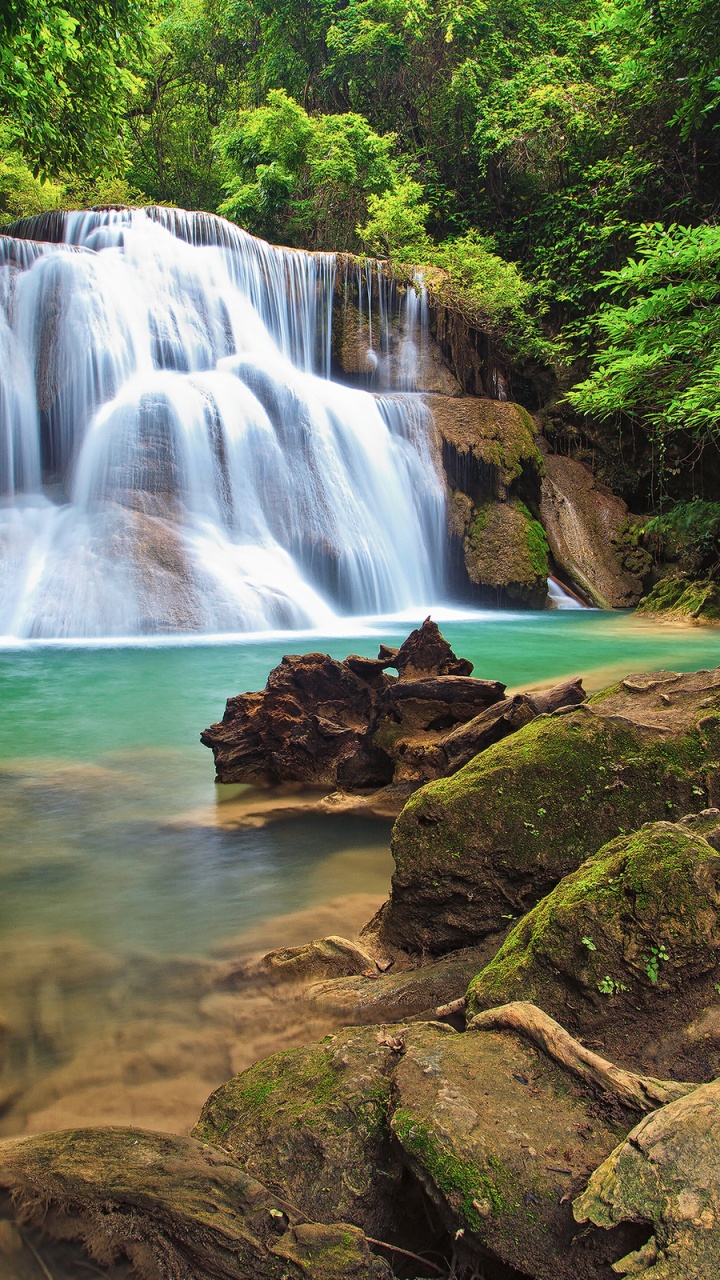 Water Falls in The Middle of The Forest. Wallpaper in 720x1280 Resolution