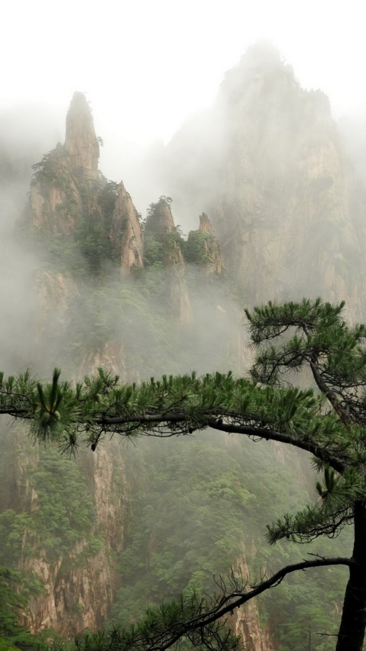性质, 荒野, 自然保护区, 地形, 安装的风景 壁纸 720x1280 允许