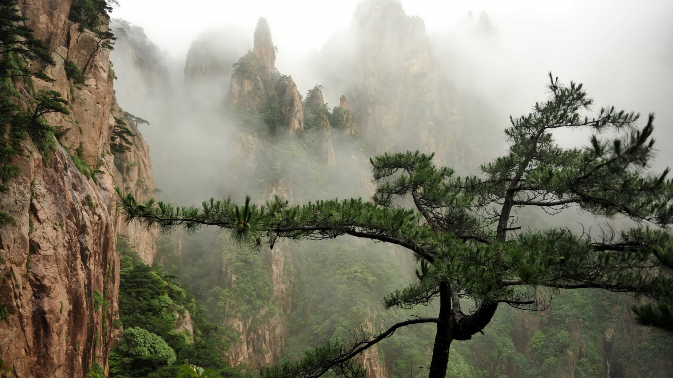 Green Trees on Mountain During Daytime. Wallpaper in 1366x768 Resolution
