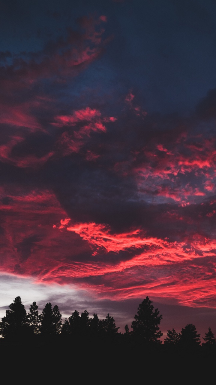 Puesta, Cumulus, Naturaleza, Ambiente, Afterglow. Wallpaper in 720x1280 Resolution