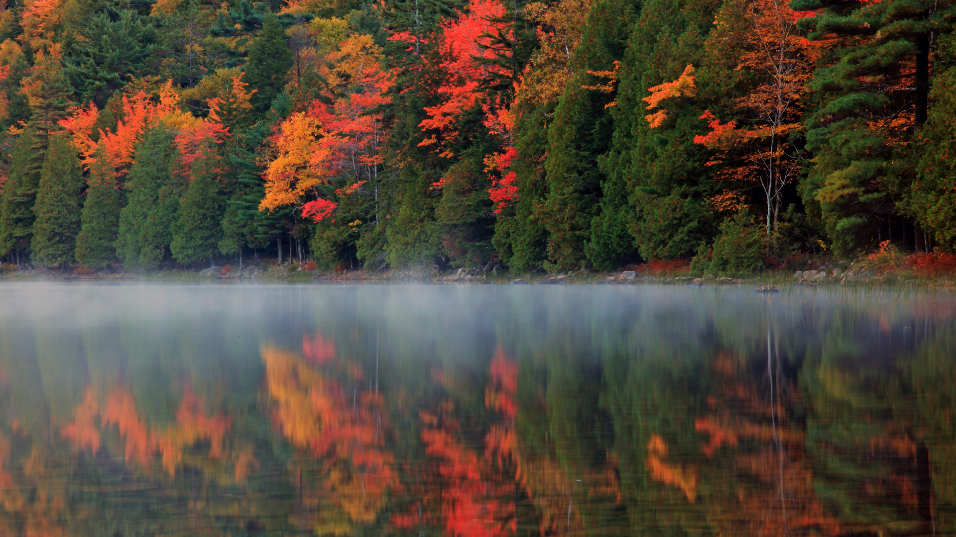 Arbres Verts et Rouges au Bord du Lac Pendant la Journée. Wallpaper in 1920x1080 Resolution