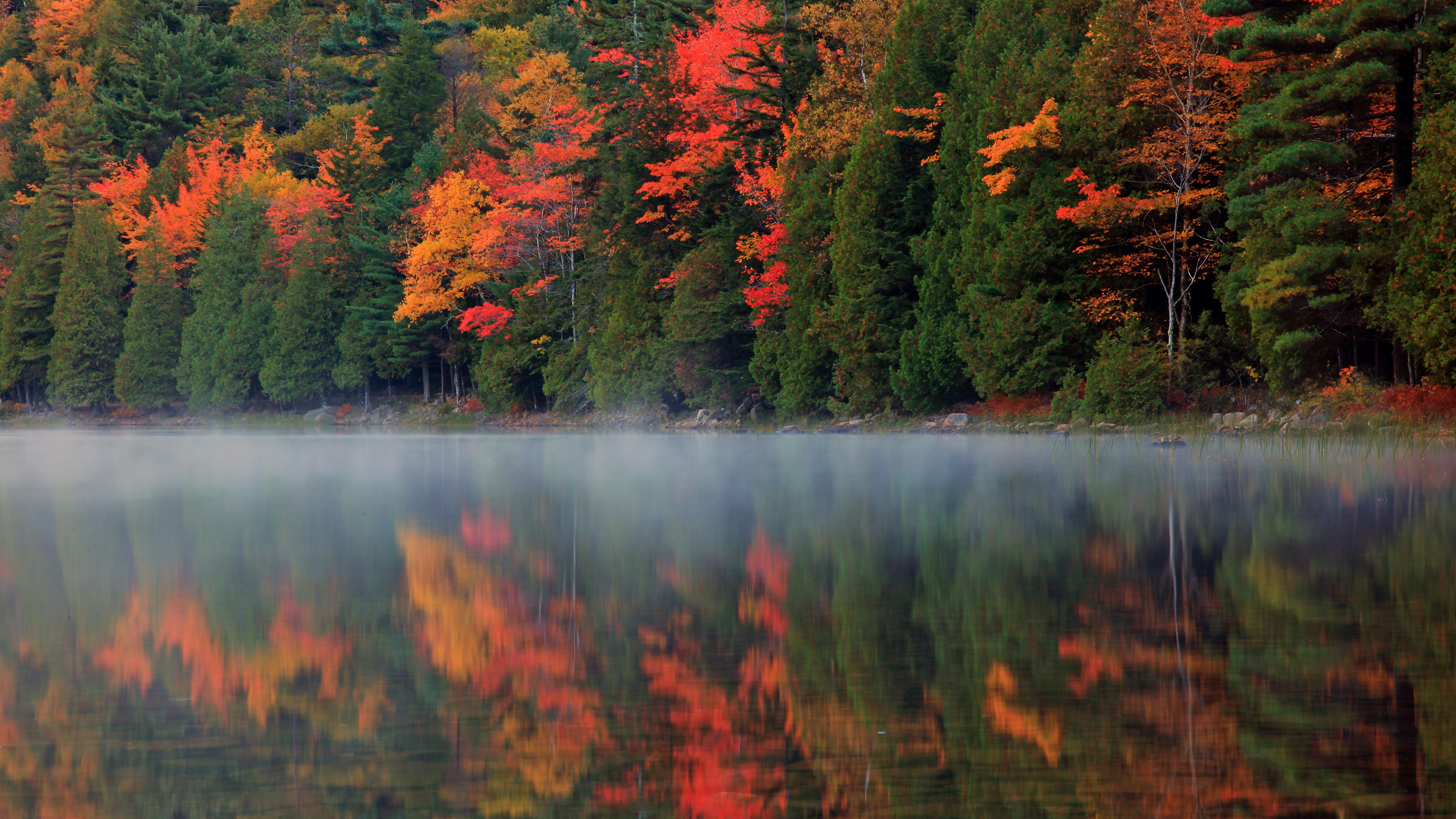 Arbres Verts et Rouges au Bord du Lac Pendant la Journée. Wallpaper in 2560x1440 Resolution