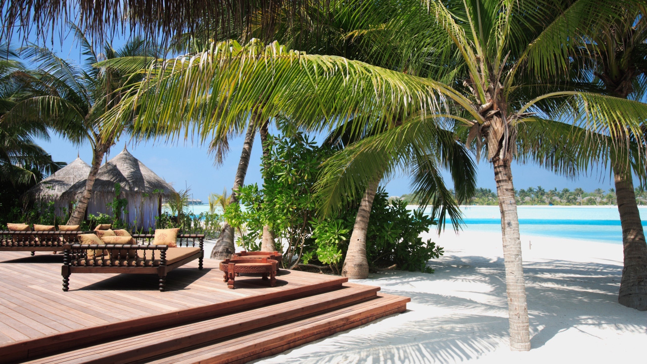 Palm Tree Near Brown Wooden Bench on Beach During Daytime. Wallpaper in 1280x720 Resolution