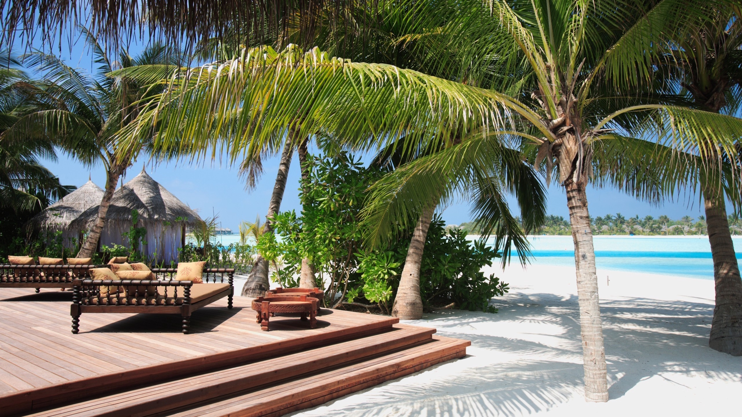 Palm Tree Near Brown Wooden Bench on Beach During Daytime. Wallpaper in 2560x1440 Resolution