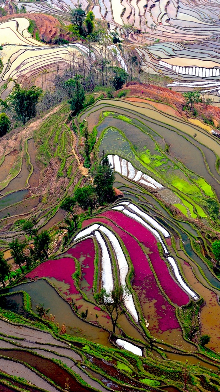 Braun-grüne Und Weiße Abstrakte Malerei. Wallpaper in 720x1280 Resolution