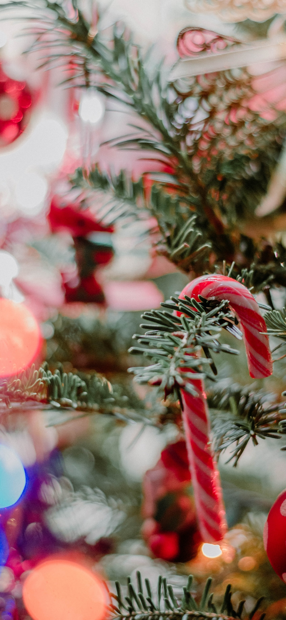 Grüne Kiefer Mit Roten Und Weißen Lichterketten. Wallpaper in 1125x2436 Resolution