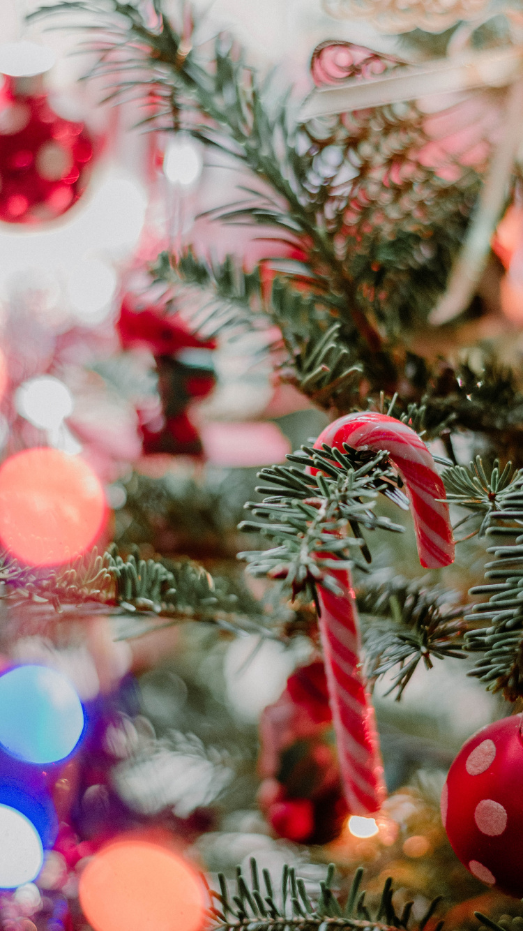 Grüne Kiefer Mit Roten Und Weißen Lichterketten. Wallpaper in 750x1334 Resolution