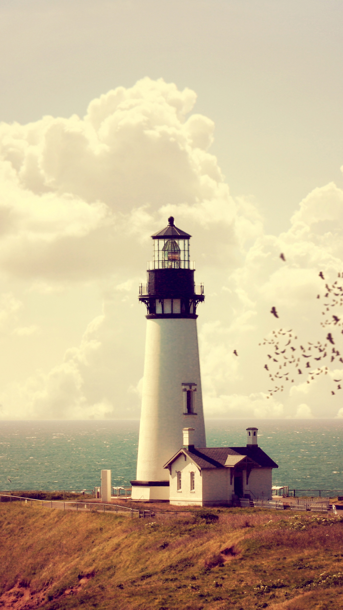 Phare Blanc et Noir Près D'un Plan D'eau Pendant la Journée. Wallpaper in 1440x2560 Resolution