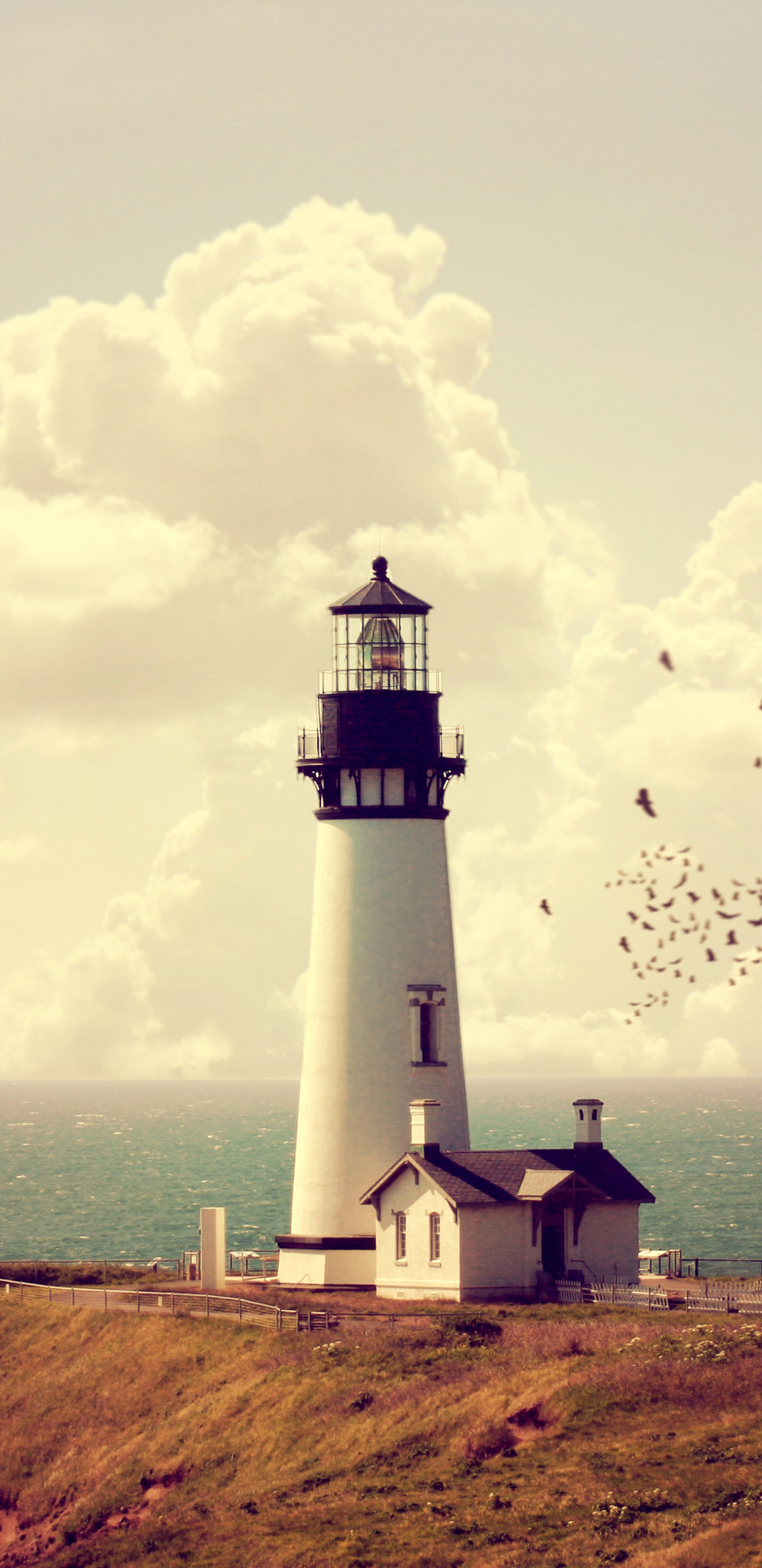 Phare Blanc et Noir Près D'un Plan D'eau Pendant la Journée. Wallpaper in 1440x2960 Resolution