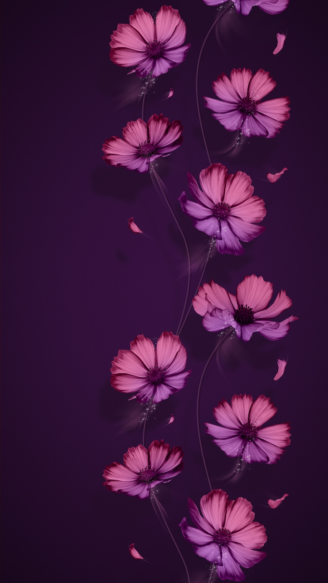 Teatro Principal, Morado, Pétalo, Violeta, Rosa. Wallpaper in 1080x1920 Resolution