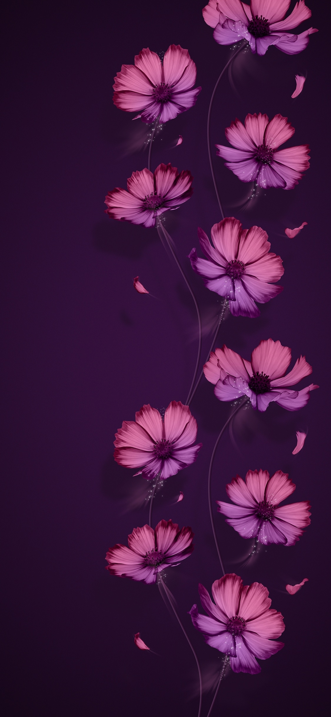 Teatro Principal, Morado, Pétalo, Violeta, Rosa. Wallpaper in 1125x2436 Resolution