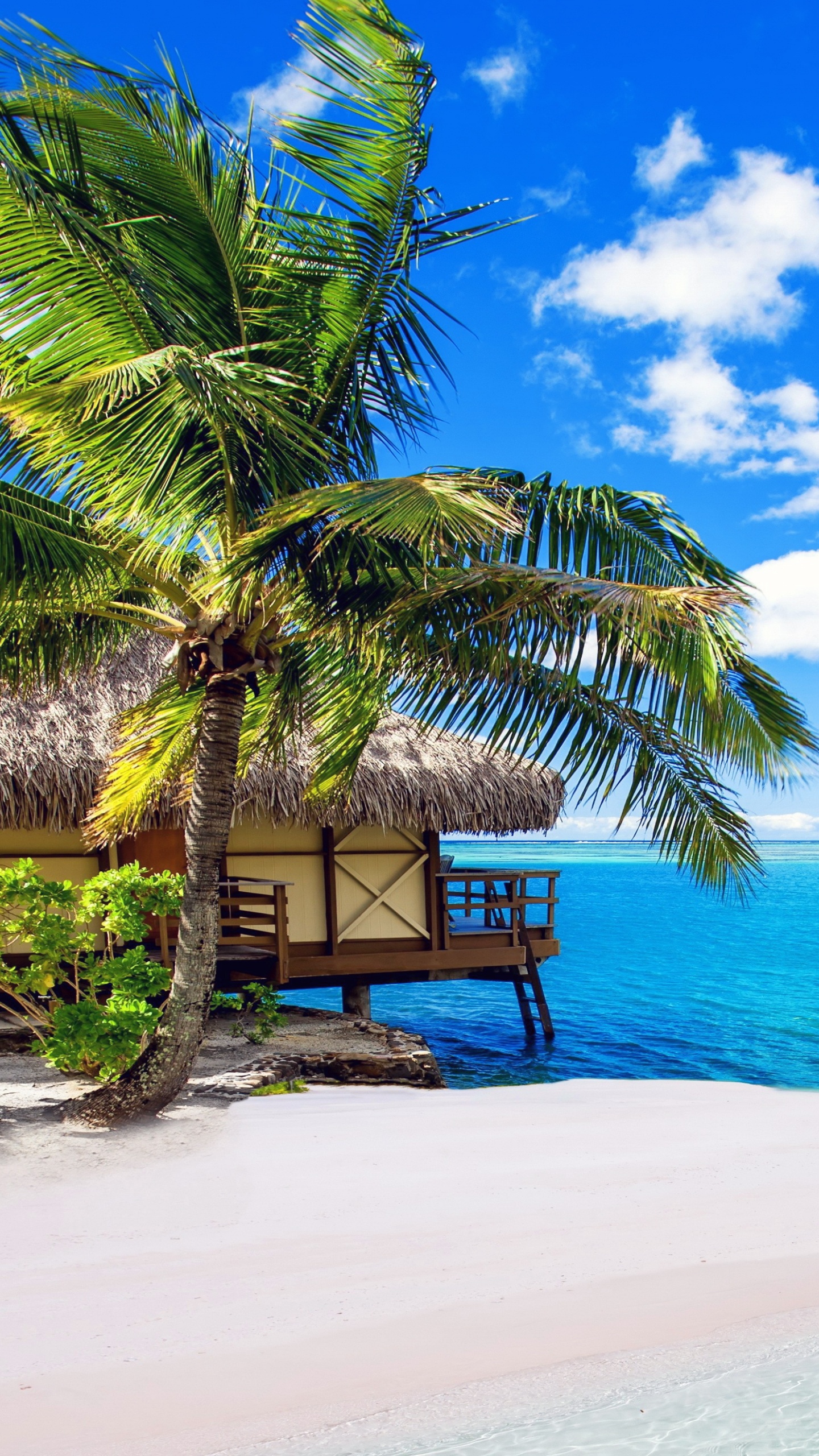 Brown Wooden Bench on Beach During Daytime. Wallpaper in 1440x2560 Resolution