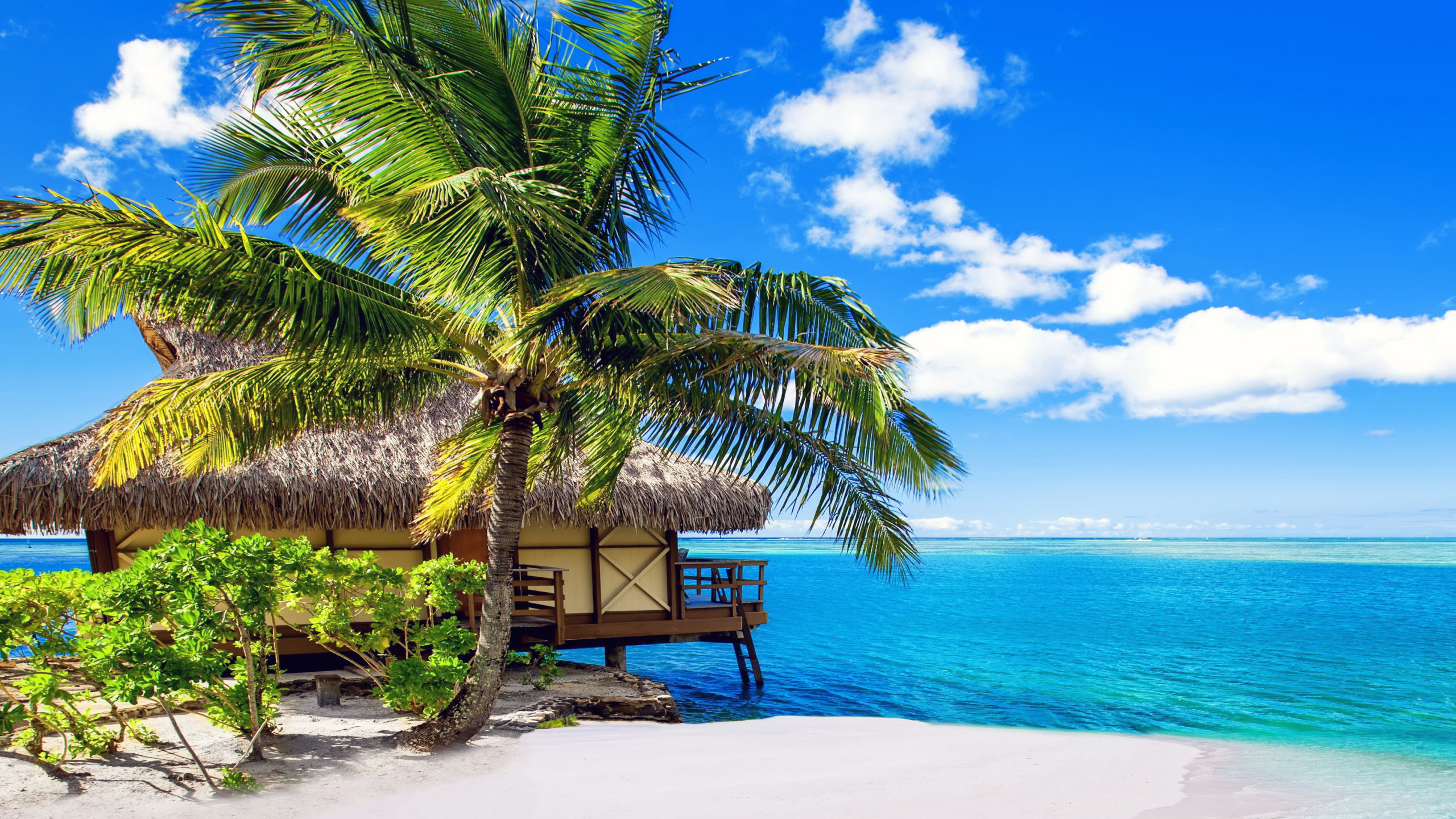 Brown Wooden Bench on Beach During Daytime. Wallpaper in 2560x1440 Resolution