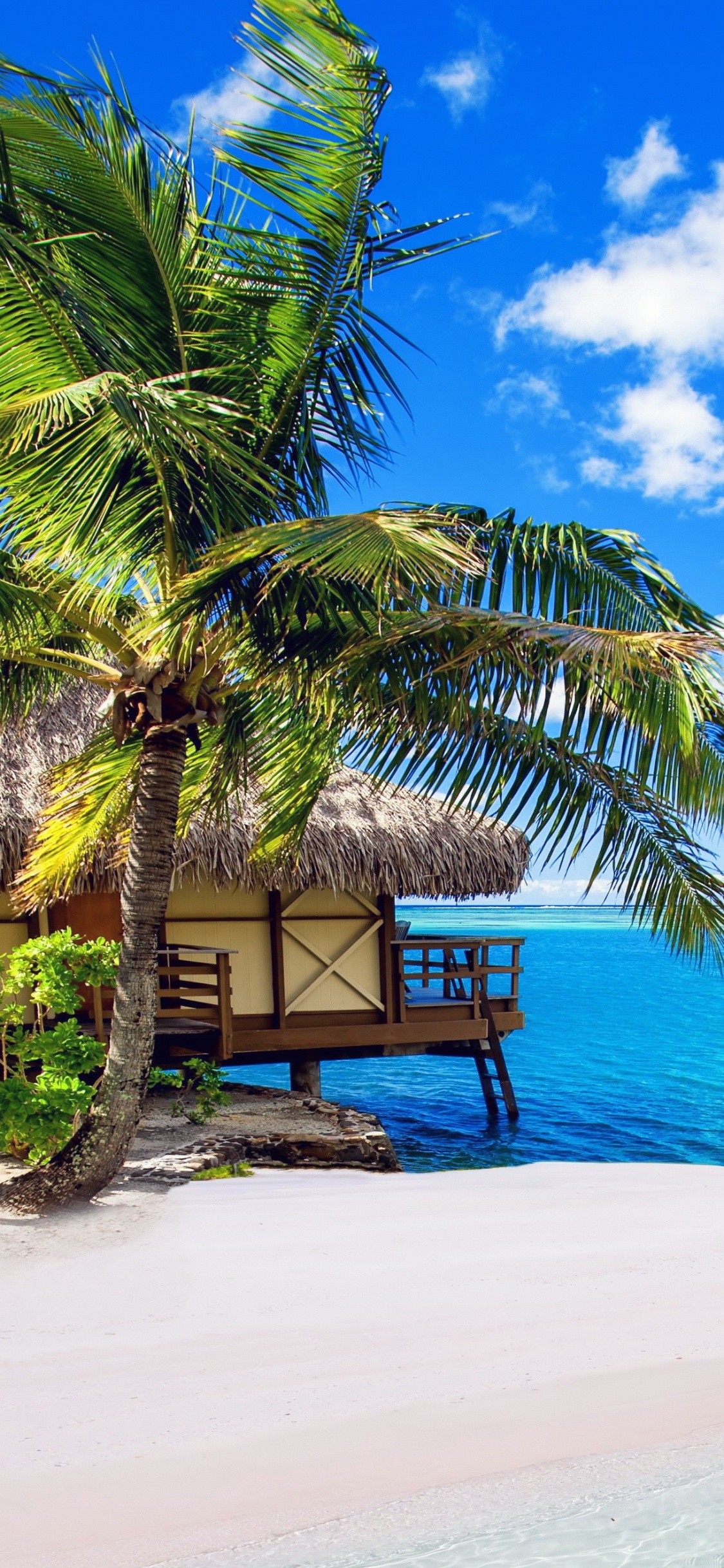 Braune Holzbank am Strand Tagsüber. Wallpaper in 1125x2436 Resolution