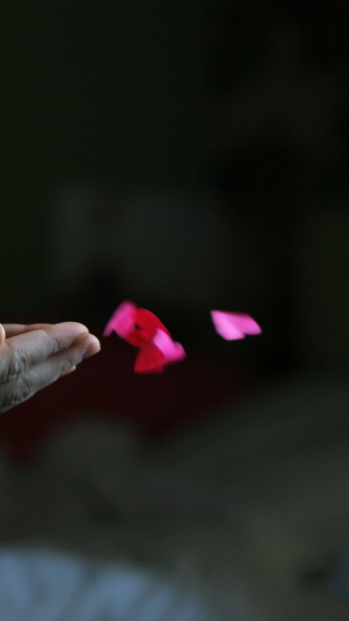 Finger, Arm, Love, Heart. Wallpaper in 720x1280 Resolution