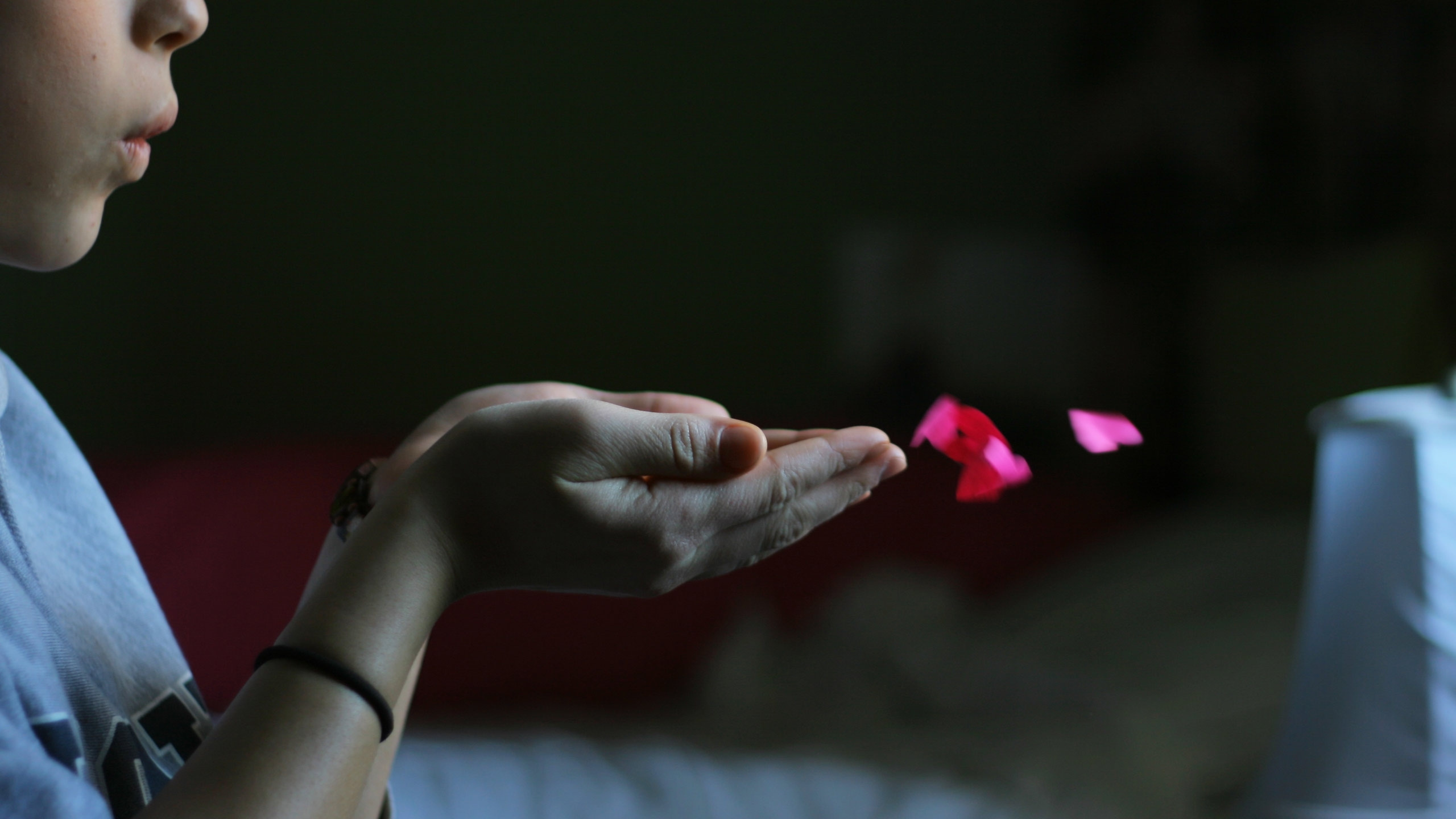 Finger, Arm, Liebe, Herzen. Wallpaper in 2560x1440 Resolution