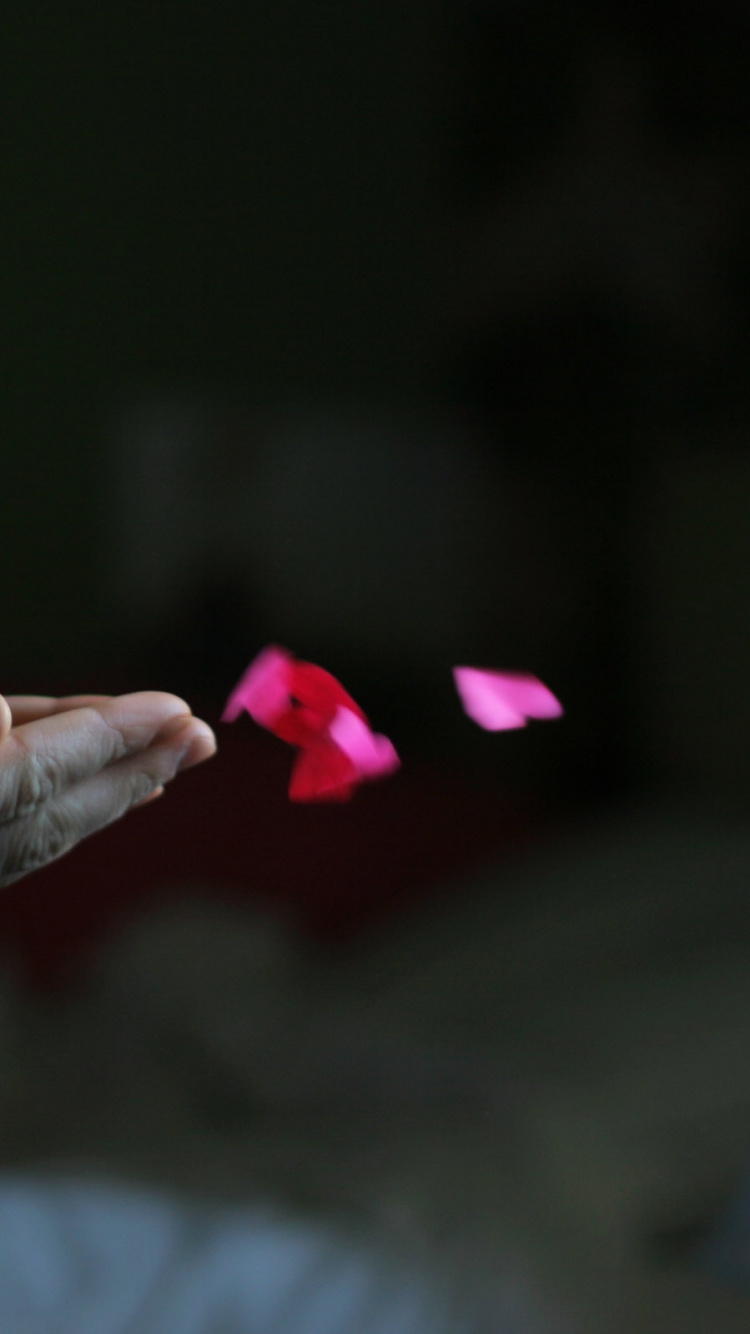 Finger, Arm, Liebe, Herzen. Wallpaper in 750x1334 Resolution