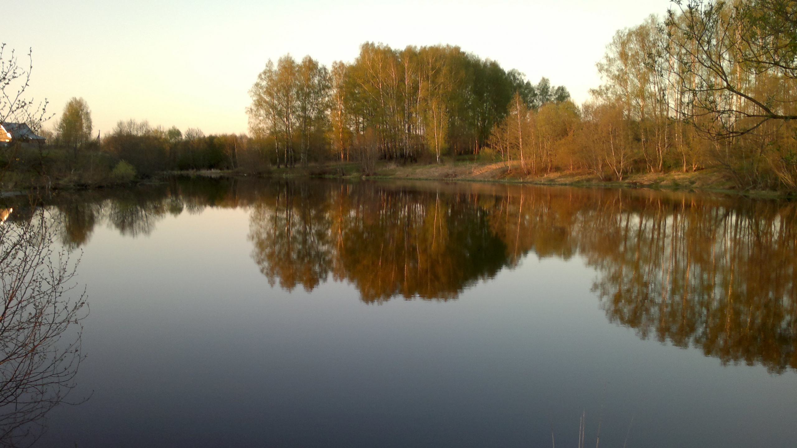 Brown Trees Beside Lake During Daytime. Wallpaper in 2560x1440 Resolution