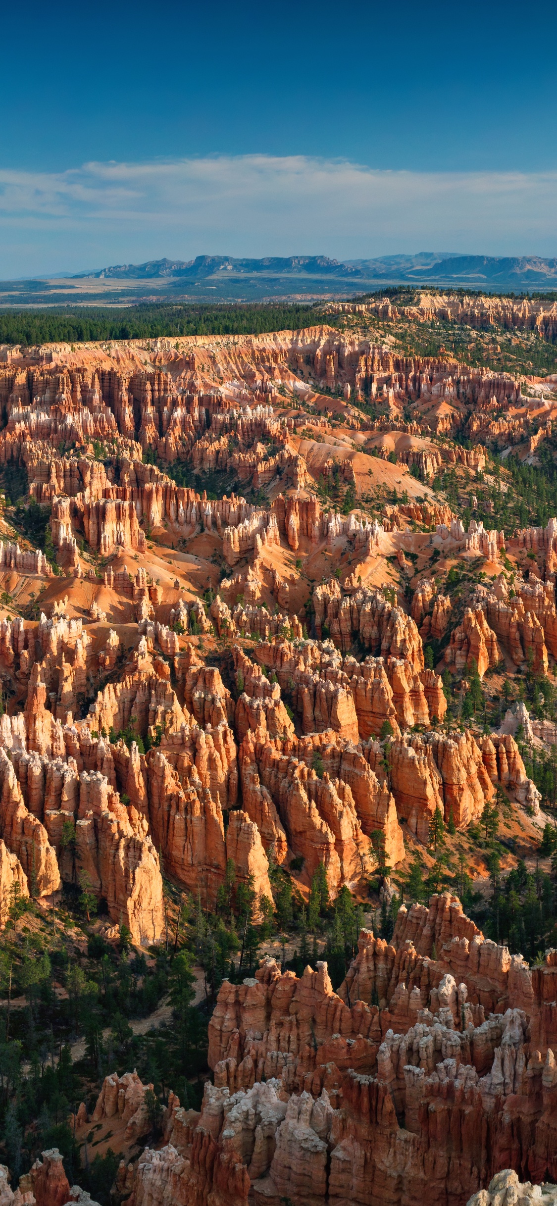 Bryce Canyon National Park, Bryce Point, Bryce Point Road, Bryce Canyon City, Grand Canyon. Wallpaper in 1125x2436 Resolution