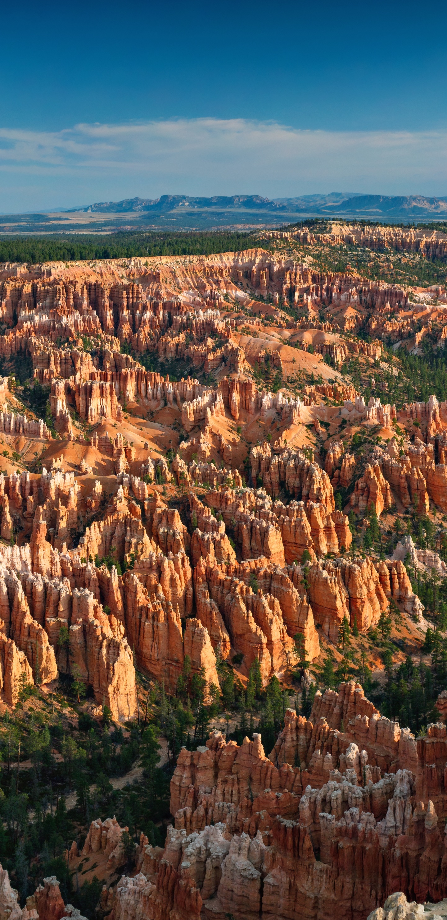 Bryce Canyon National Park, Bryce Point, Bryce Point Road, Bryce Canyon City, Grand Canyon. Wallpaper in 1440x2960 Resolution