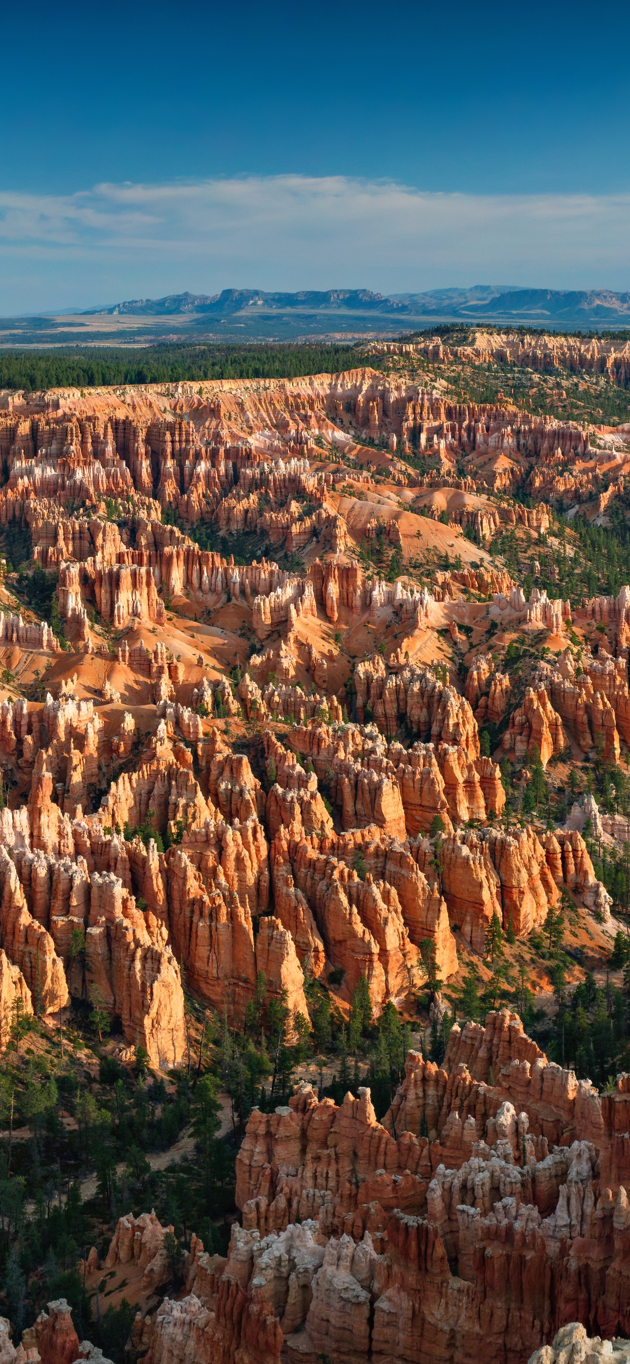 Bryce Canyon National Park, Bryce Point, Bryce-Point-Straße, Bryce Canyon City, Grand Canyon. Wallpaper in 1242x2688 Resolution
