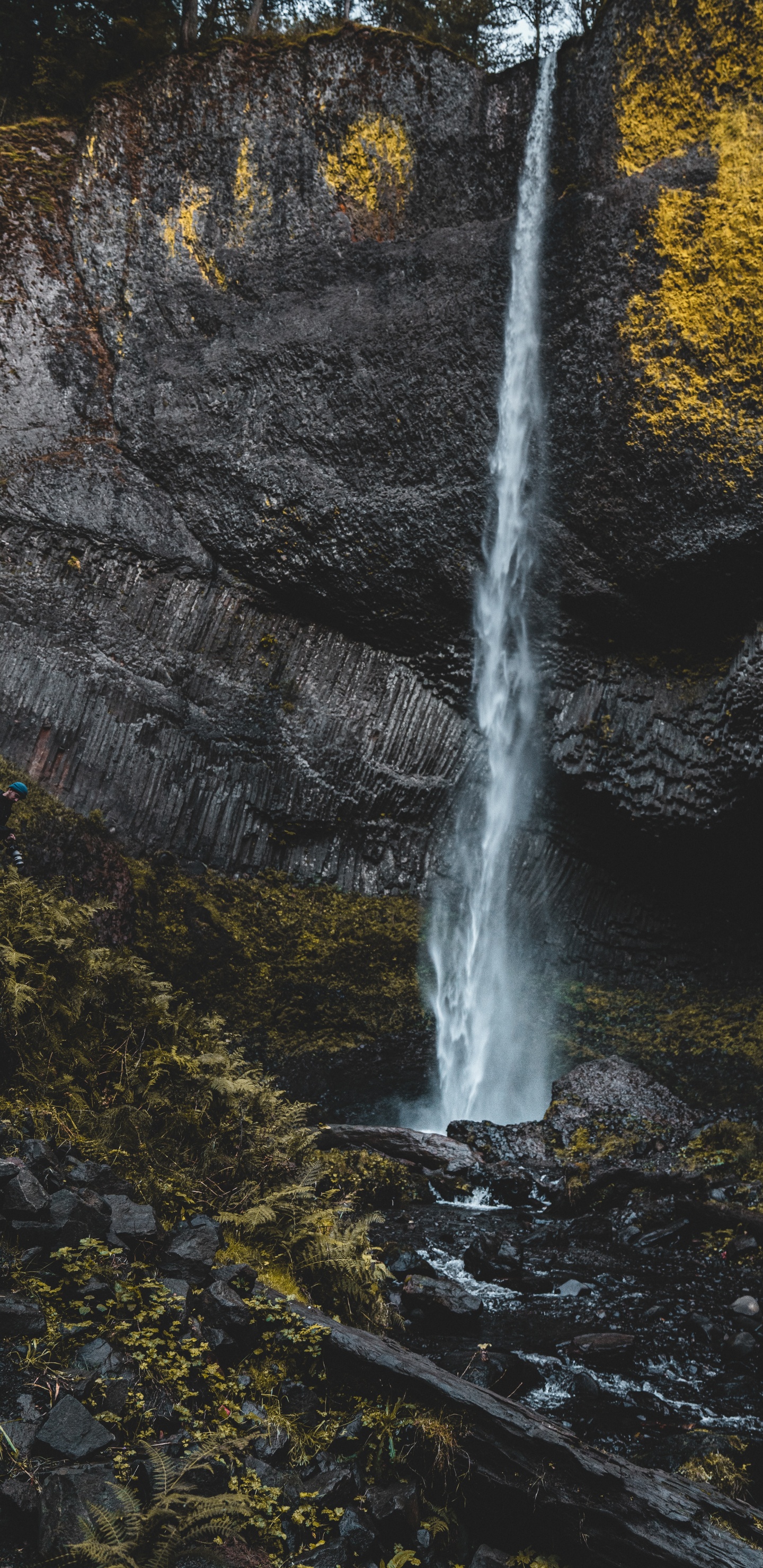 Stream, Rock, Wasserlauf, Blatt, Wasserfall. Wallpaper in 1440x2960 Resolution