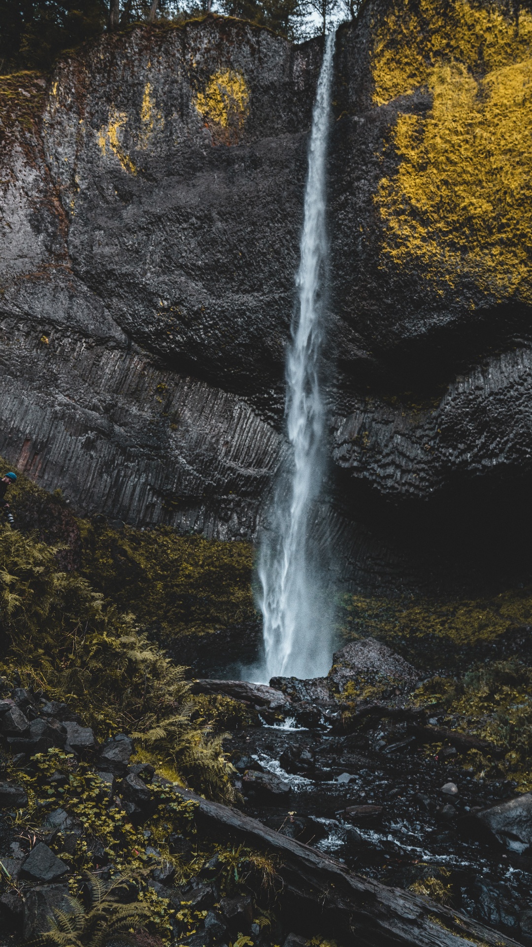 Streaming Media, Flux, Rock, Cours D'eau, Feuille. Wallpaper in 1080x1920 Resolution