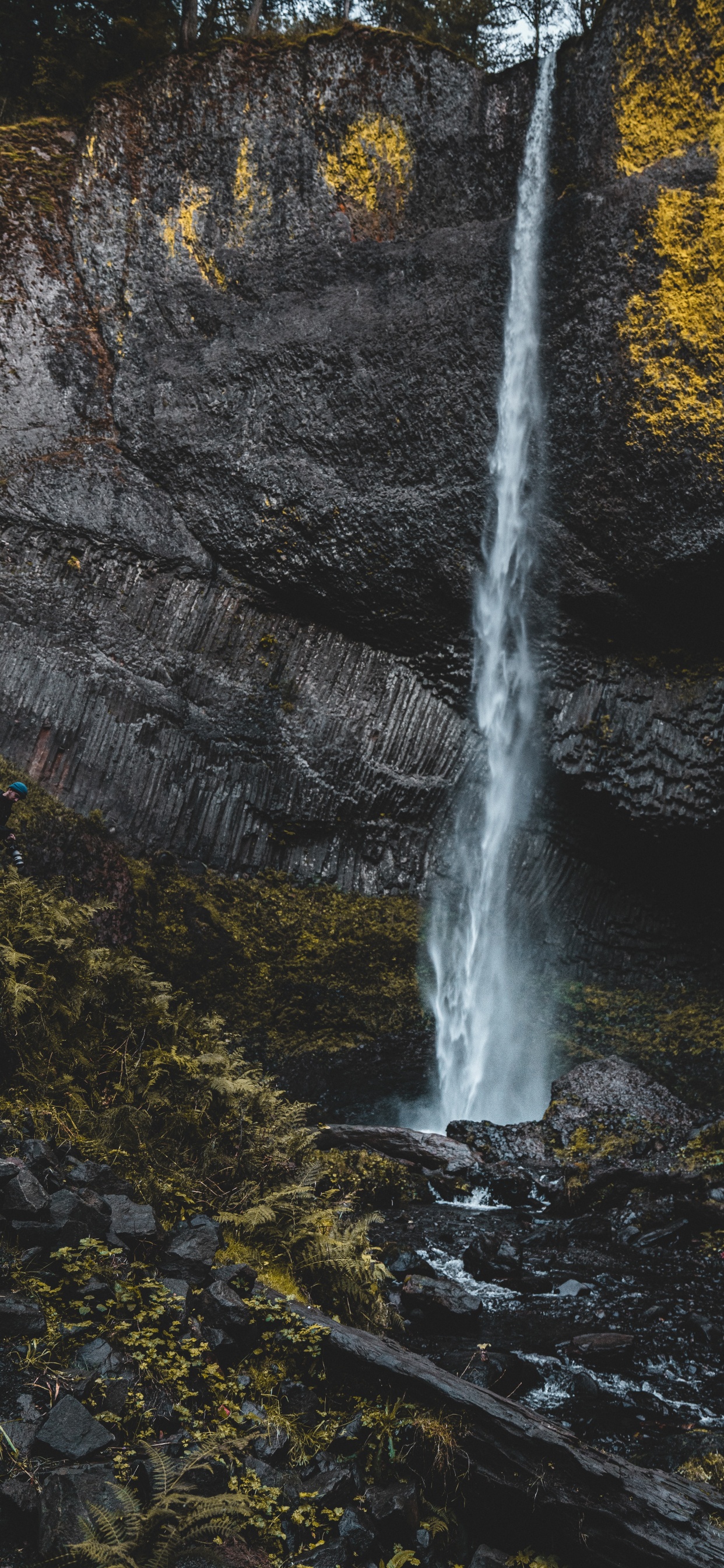 Streaming Media, Flux, Rock, Cours D'eau, Feuille. Wallpaper in 1242x2688 Resolution