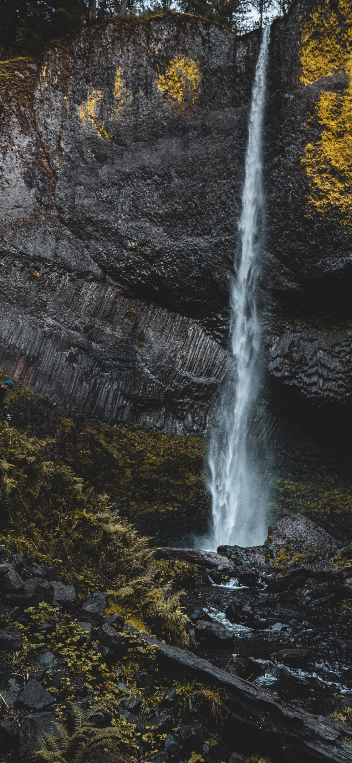 Streaming Media, Stream, Rock, Watercourse, Leaf. Wallpaper in 1125x2436 Resolution