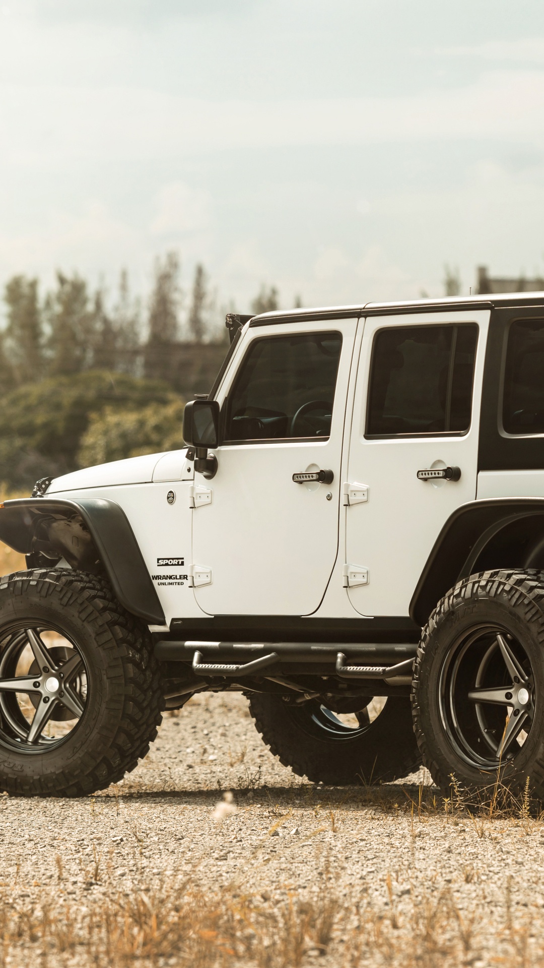 White and Black Jeep Wrangler on Brown Field During Daytime. Wallpaper in 1080x1920 Resolution