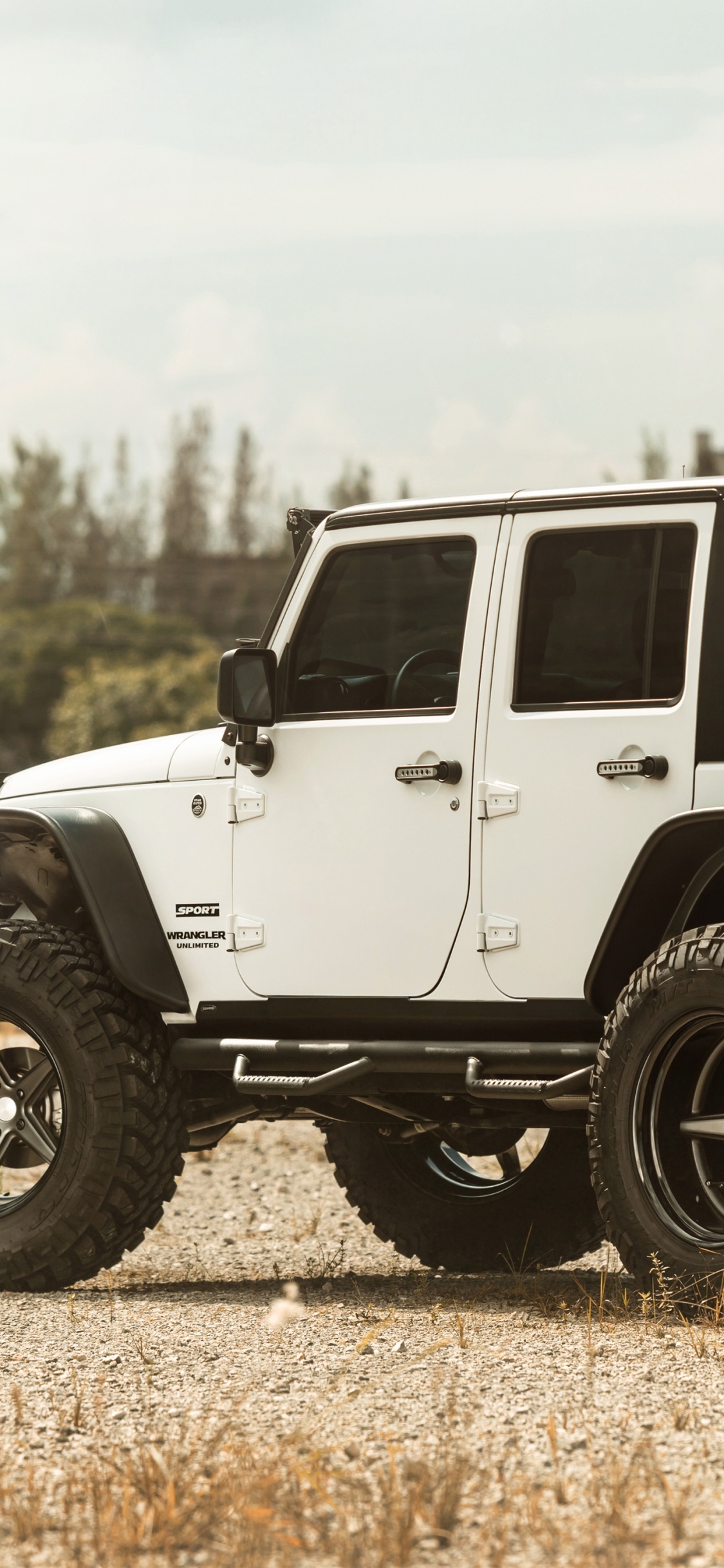 White and Black Jeep Wrangler on Brown Field During Daytime. Wallpaper in 1125x2436 Resolution