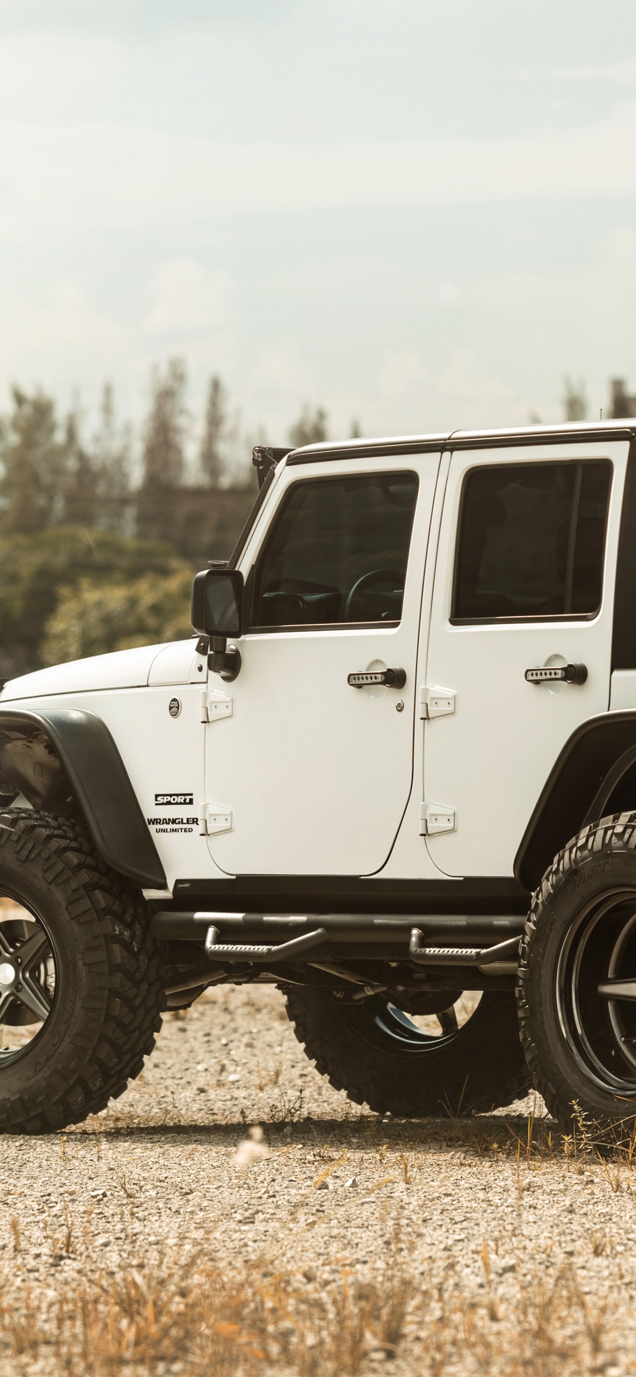 White and Black Jeep Wrangler on Brown Field During Daytime. Wallpaper in 1242x2688 Resolution