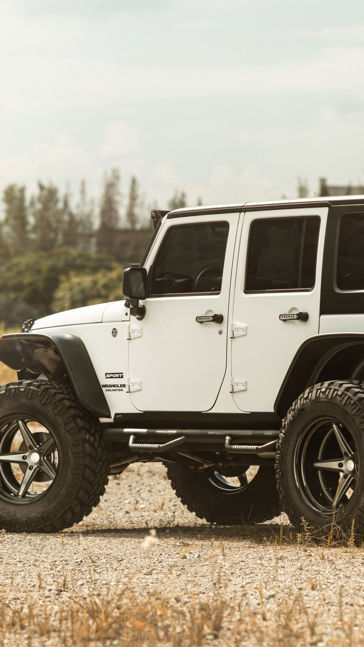 White and Black Jeep Wrangler on Brown Field During Daytime. Wallpaper in 750x1334 Resolution