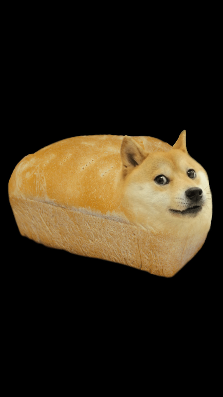 Canidés, Moustache, Chien, Carnivores, Race de Chien. Wallpaper in 750x1334 Resolution