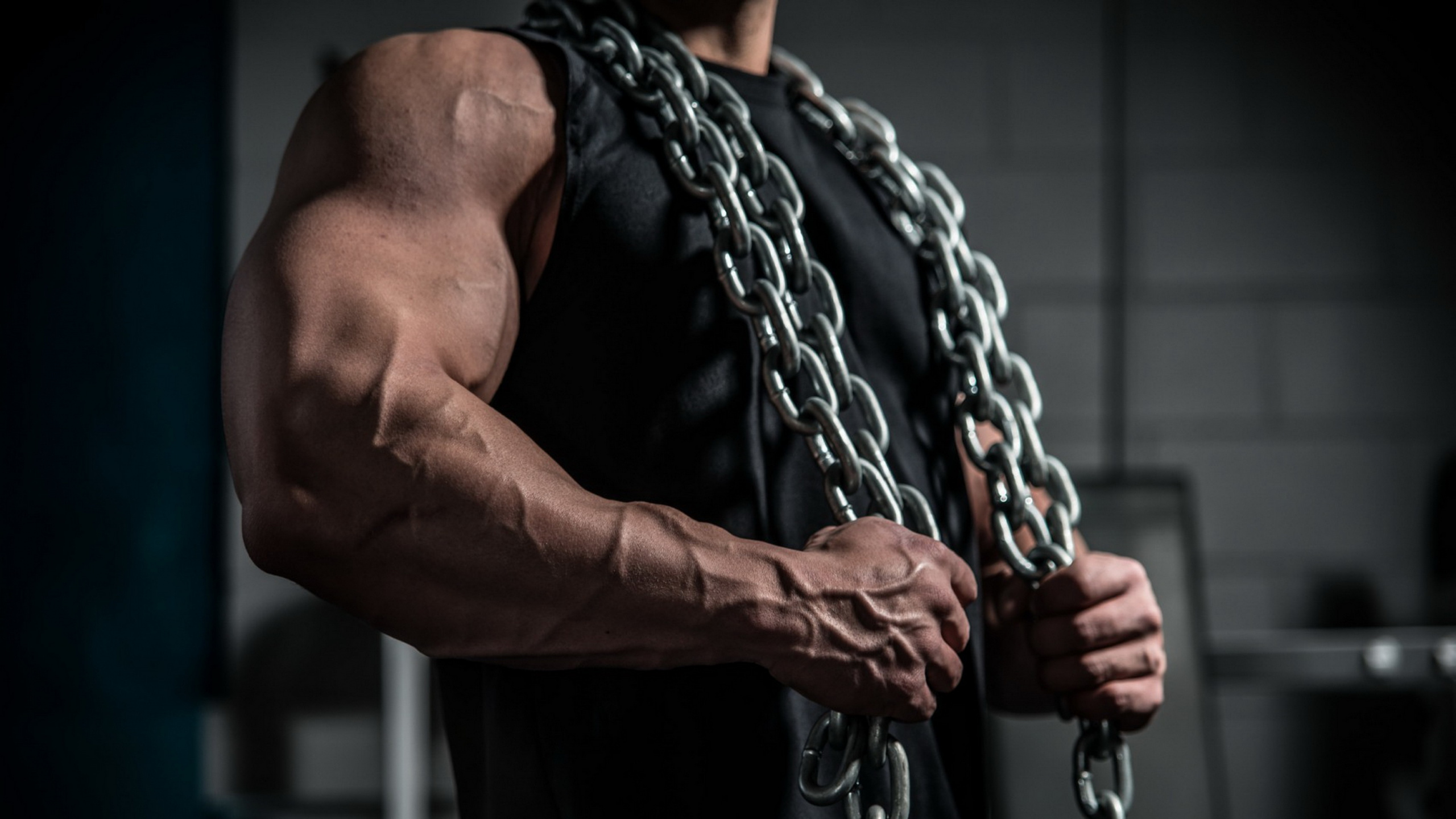 Muscle, Bras, Poitrine, Main, Cou. Wallpaper in 2560x1440 Resolution