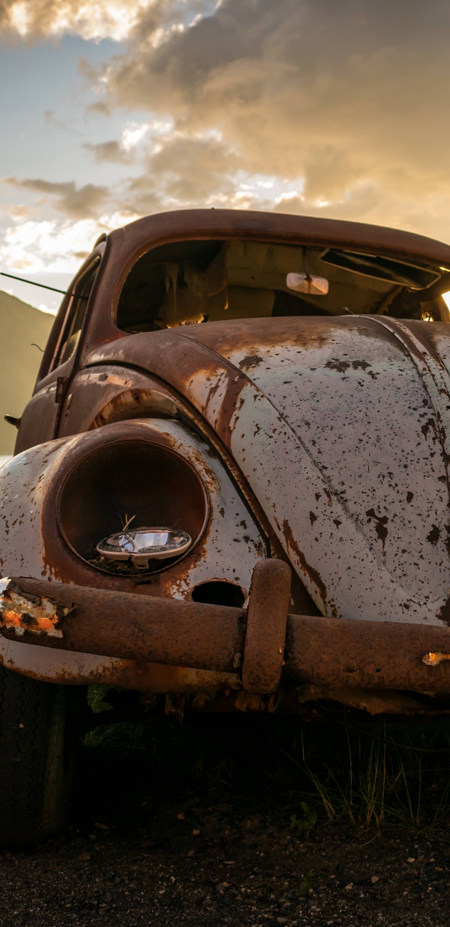 Brown Vintage Car on Green Grass Field During Daytime. Wallpaper in 1440x2960 Resolution