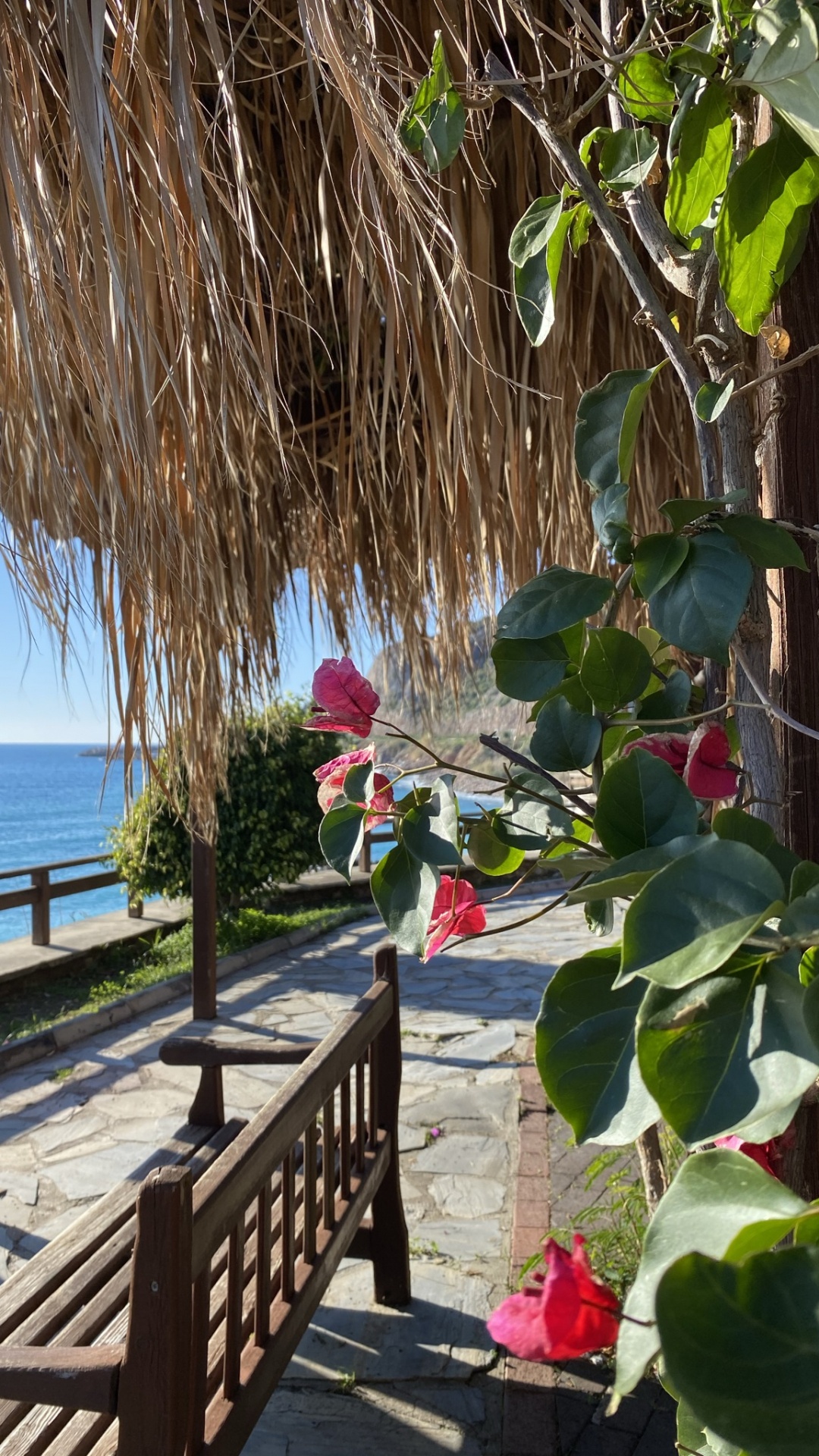 Vacaciones, Agua, Balneario, Madera, Muebles de Exterior. Wallpaper in 1080x1920 Resolution