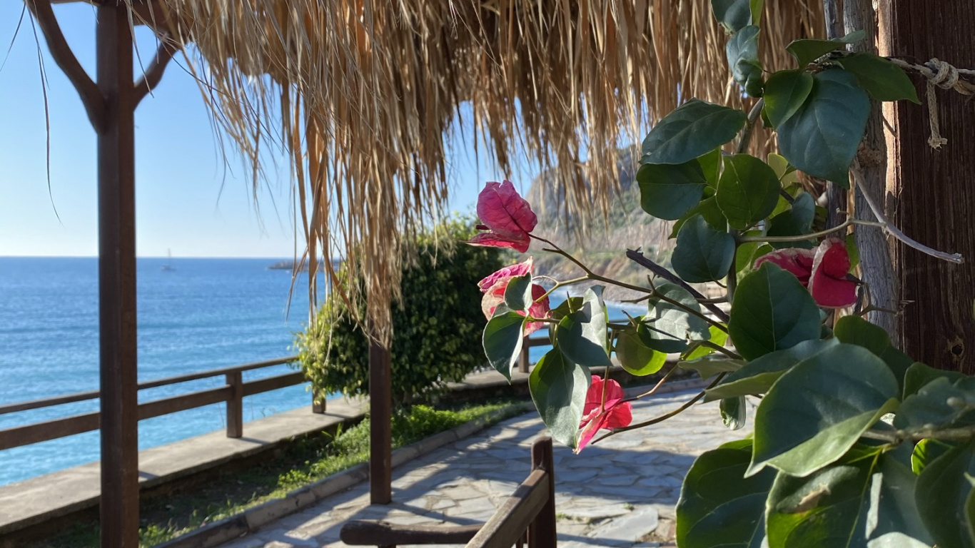 Vacaciones, Agua, Balneario, Madera, Muebles de Exterior. Wallpaper in 1366x768 Resolution