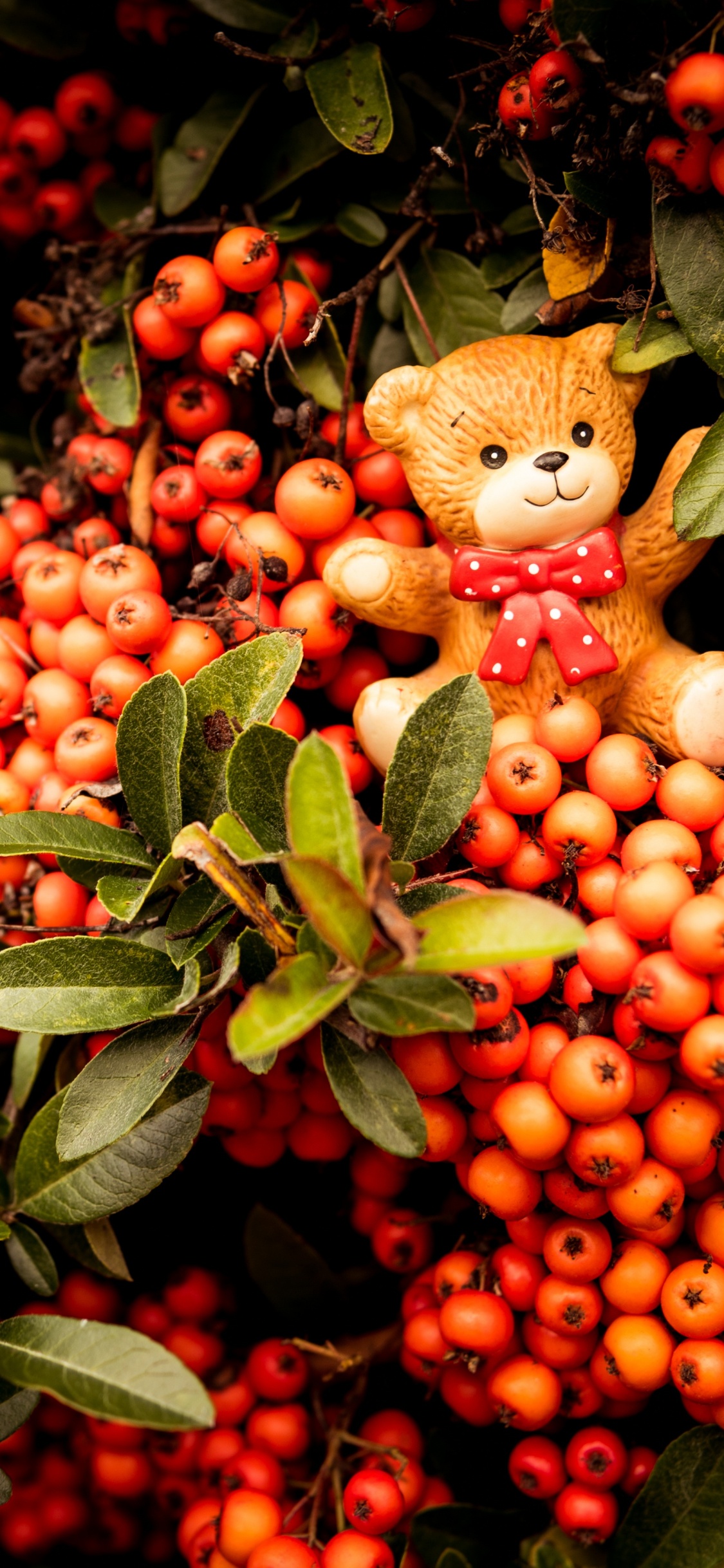 Fruits Ronds Rouges et Jaunes. Wallpaper in 1125x2436 Resolution