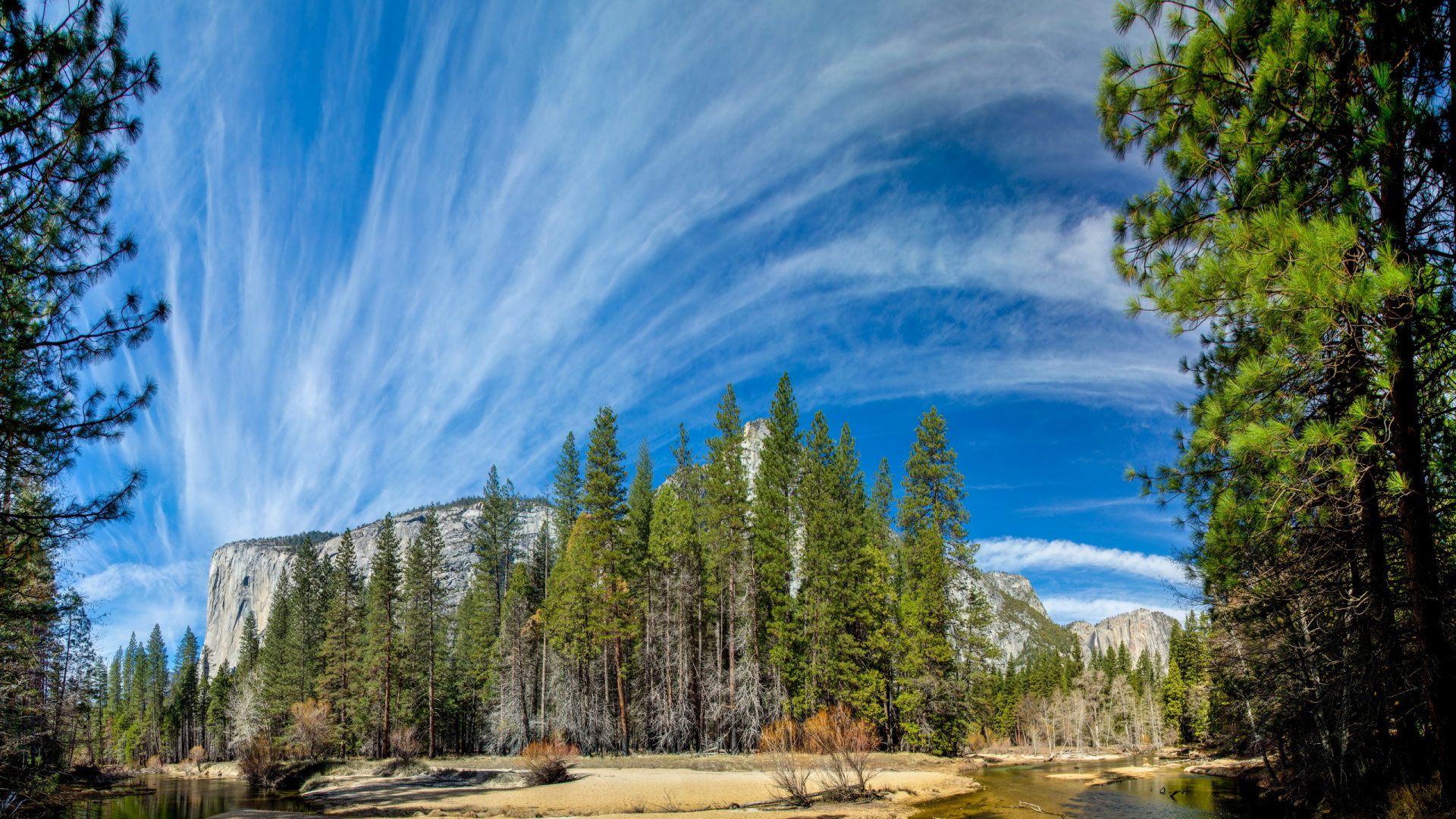 Green Pine Trees Under Blue Sky During Daytime. Wallpaper in 1920x1080 Resolution