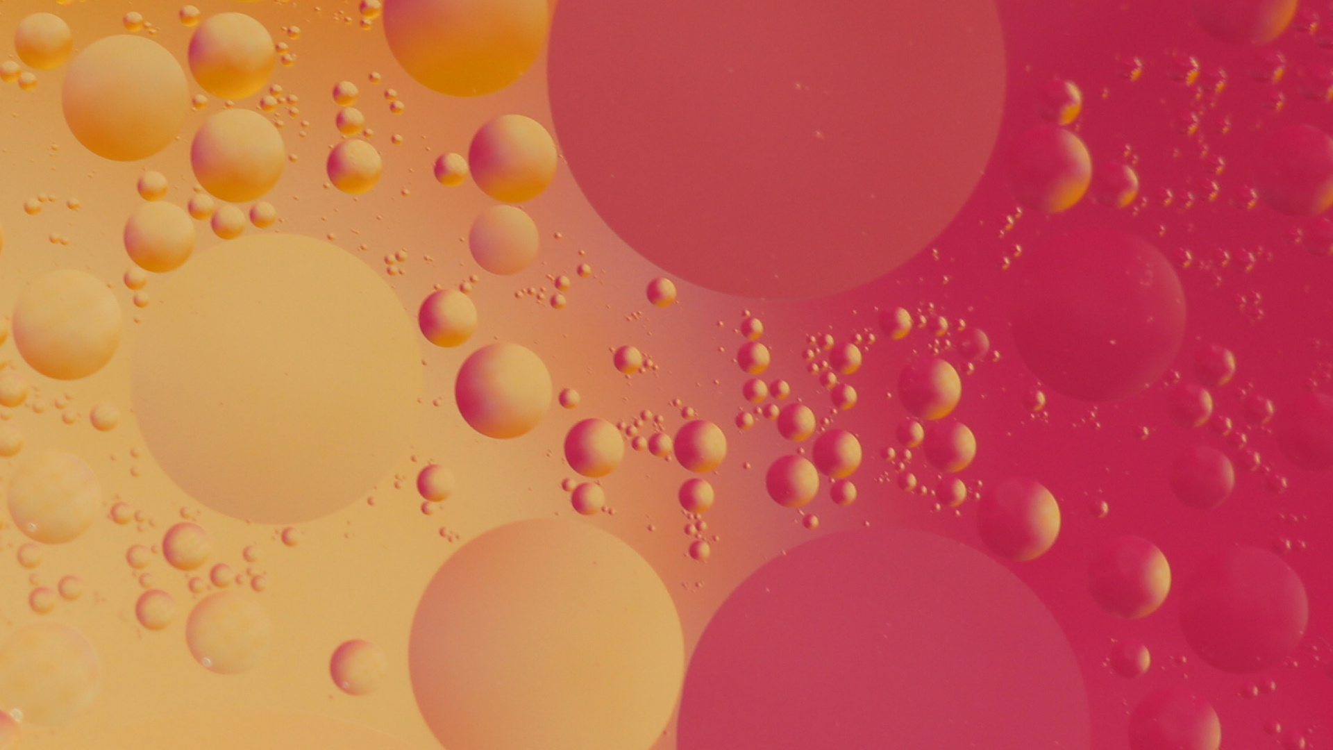 粉红色, 红色的, 橙色, 黄色的, 液泡沫 壁纸 1920x1080 允许