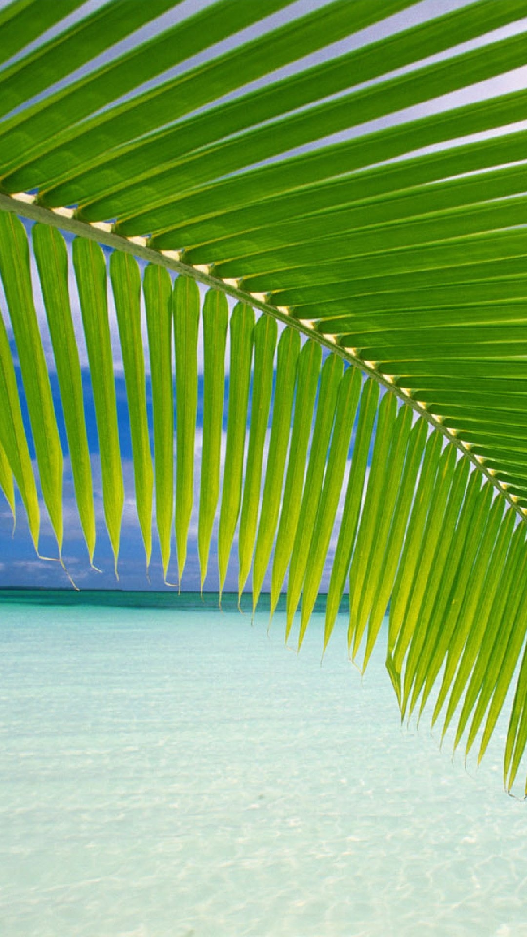 Windows Beach Wallpapers - Top Free Windows Beach Backgrounds -  WallpaperAccess