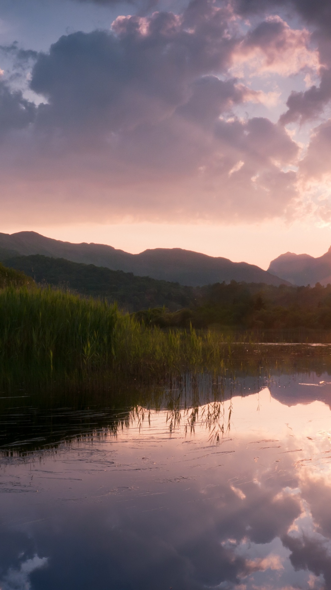 Árboles Verdes Junto al Lago Bajo un Cielo Azul Durante el Día. Wallpaper in 1080x1920 Resolution
