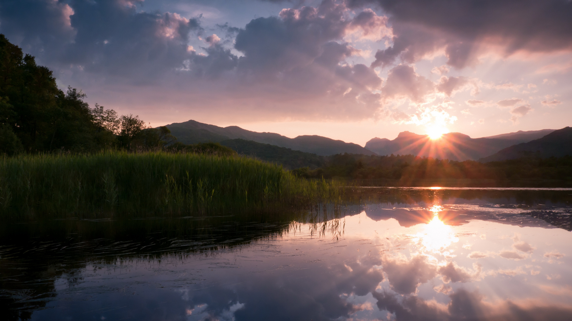 Árboles Verdes Junto al Lago Bajo un Cielo Azul Durante el Día. Wallpaper in 1920x1080 Resolution