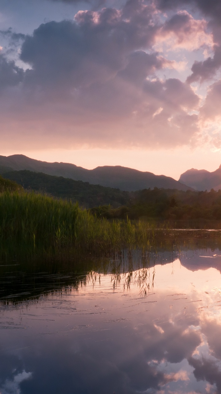Arbres Verts au Bord du Lac Sous Ciel Bleu Pendant la Journée. Wallpaper in 720x1280 Resolution