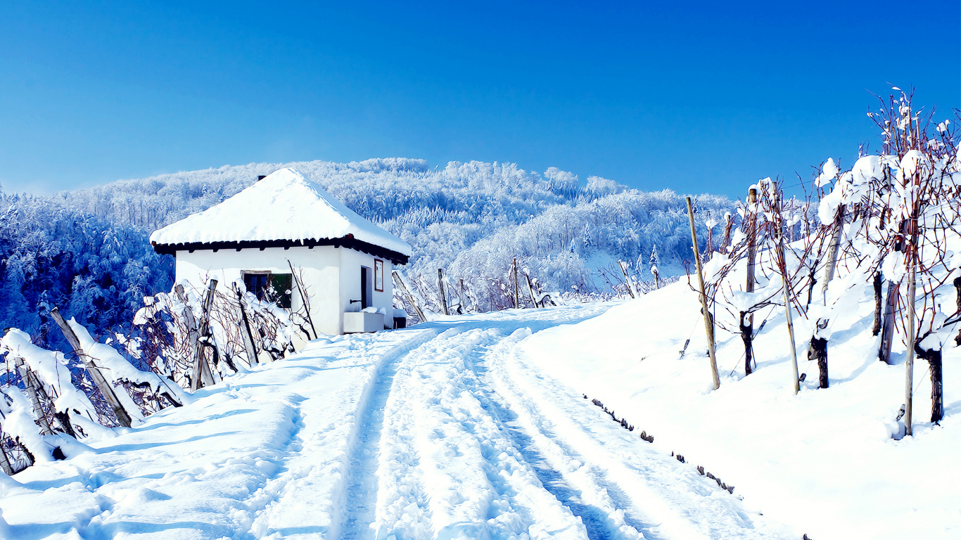 Snow Covered House Near Trees Under Blue Sky During Daytime. Wallpaper in 1366x768 Resolution