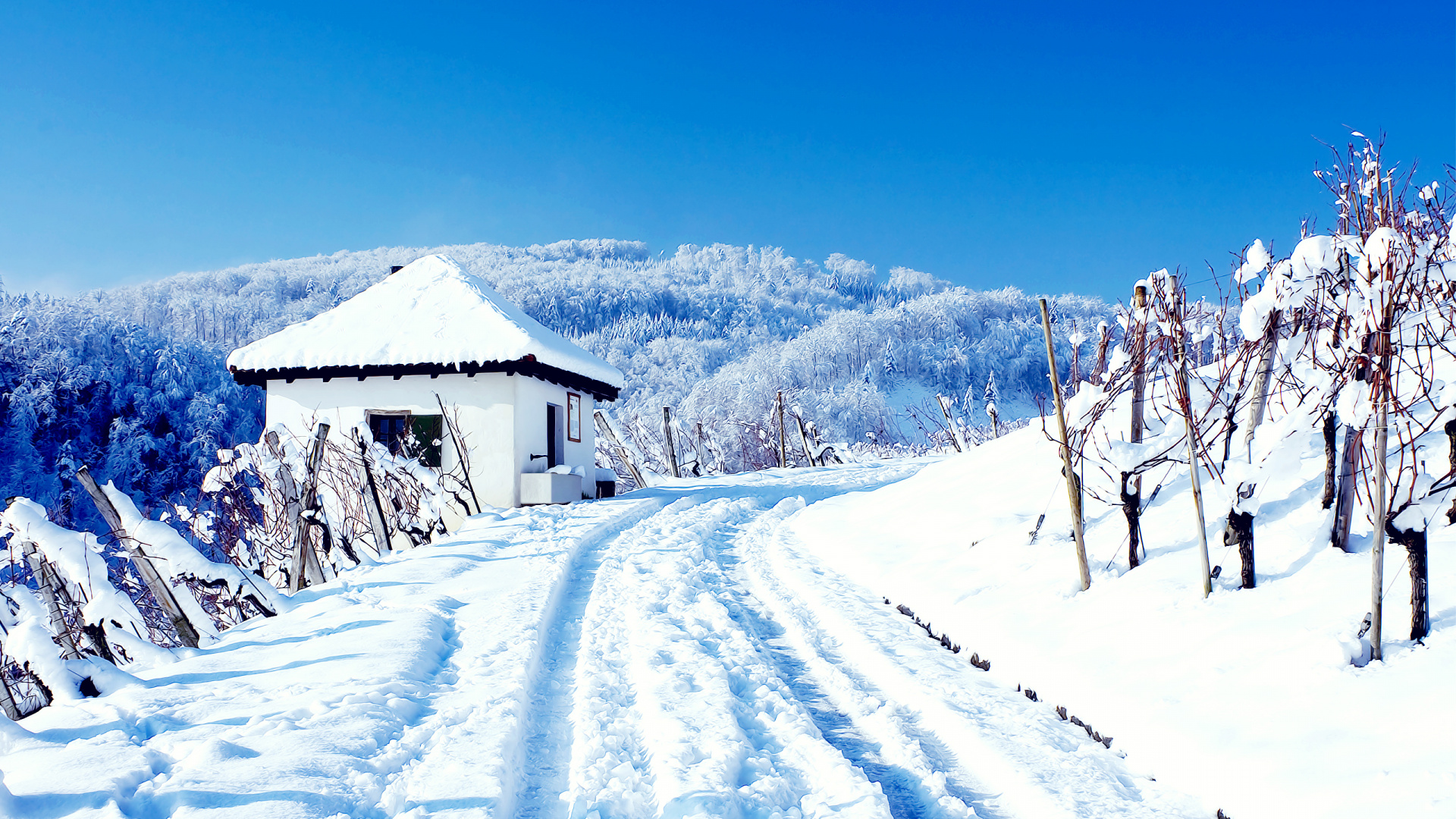 Snow Covered House Near Trees Under Blue Sky During Daytime. Wallpaper in 1920x1080 Resolution