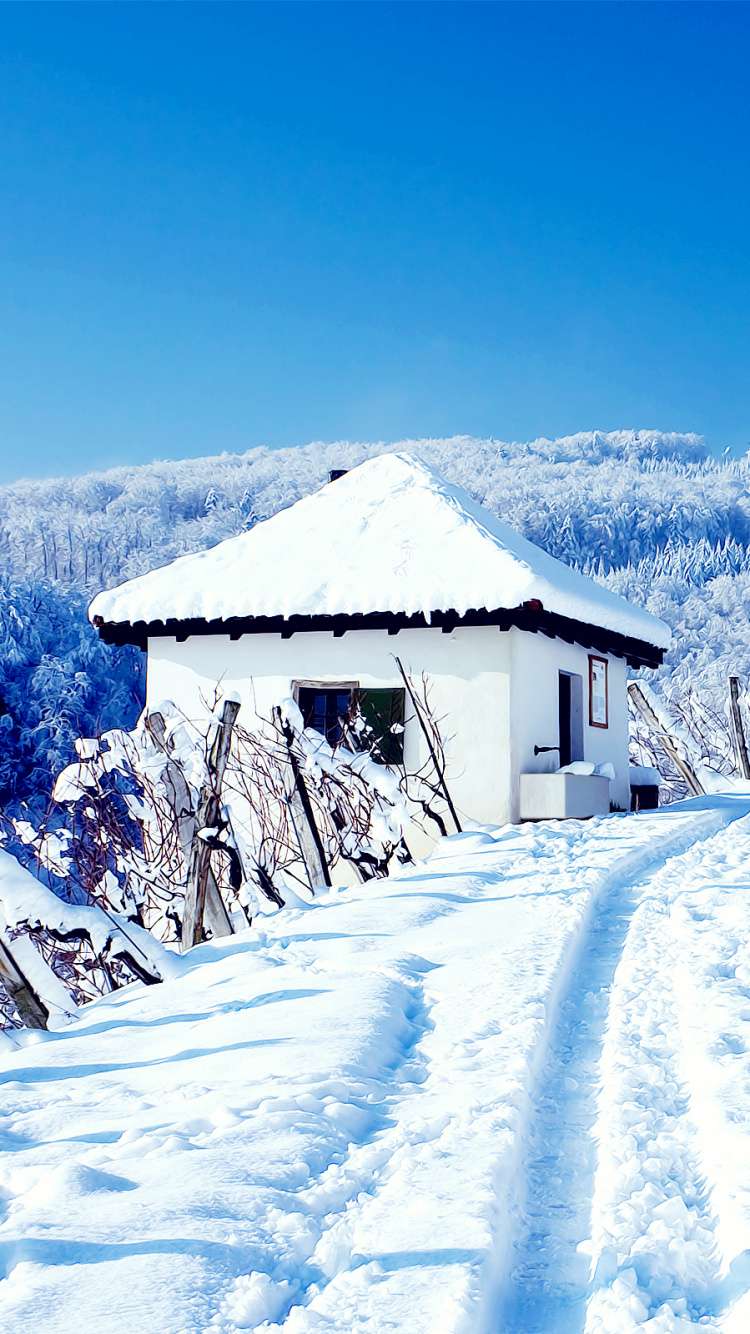 Snow Covered House Near Trees Under Blue Sky During Daytime. Wallpaper in 750x1334 Resolution