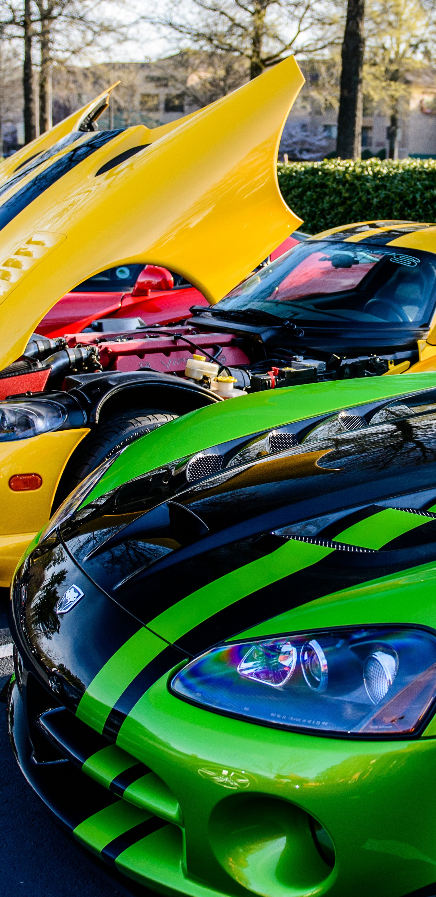 Green and Black Lamborghini Aventador Parked on Gray Concrete Pavement During Daytime. Wallpaper in 1440x2960 Resolution